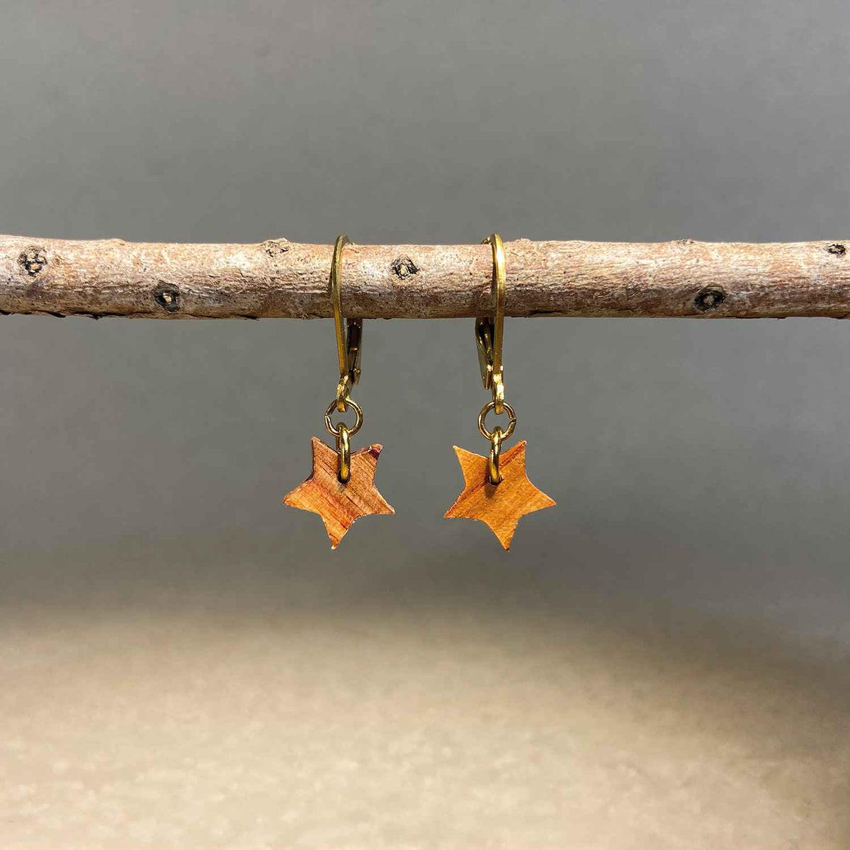 boucles d'oreilles dormeuses étoile femme en bois de rose et acier doré, suspendu à une branche, fabrication artisanale française, racines artisanat