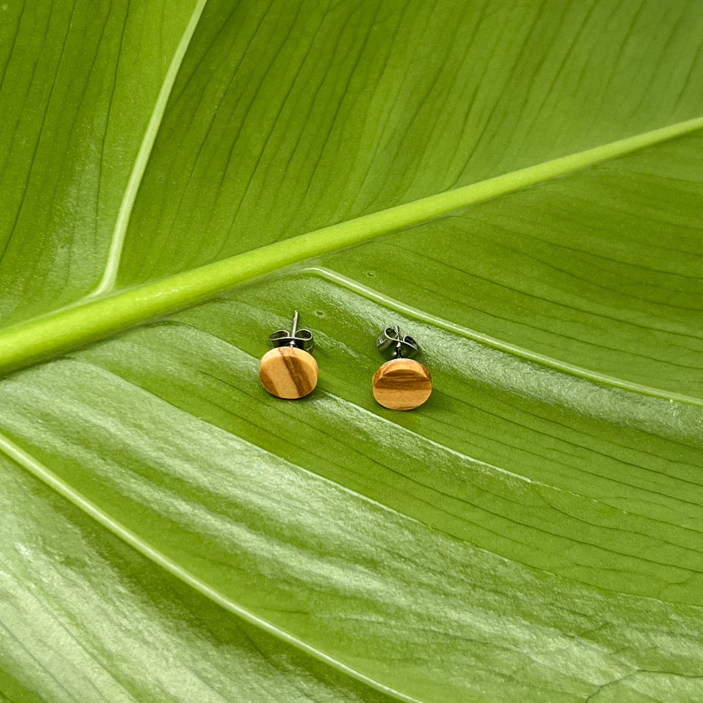 Round ear studs