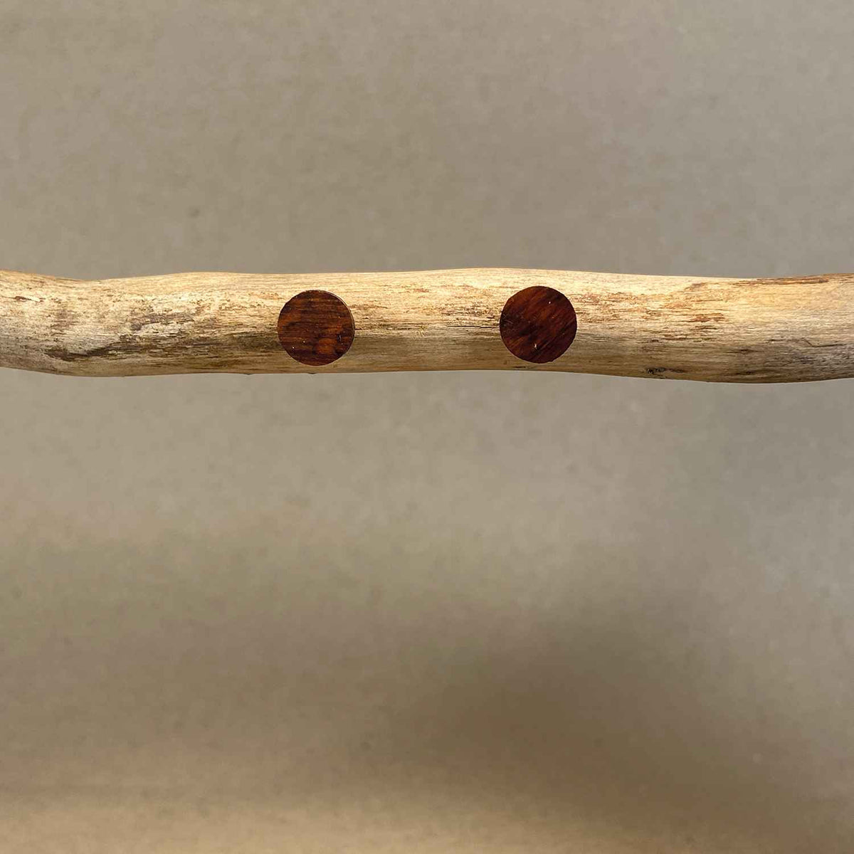 puces d'oreilles rondes femme en bois d'amourette, accrochés sur une branche, fabrication artisanale française, racines artisanat