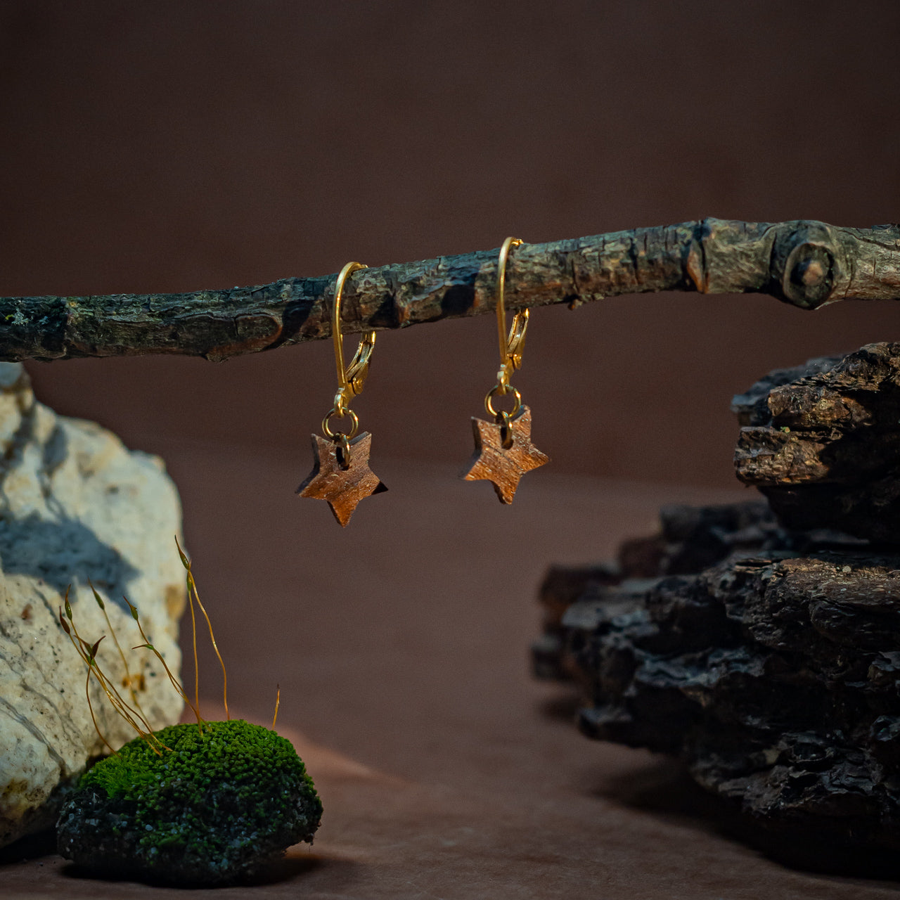 boucles d'oreilles étoiles femme en bois de noyer et acier doré, suspendues sur une branche, fabrication artisanale française, racines artisanat