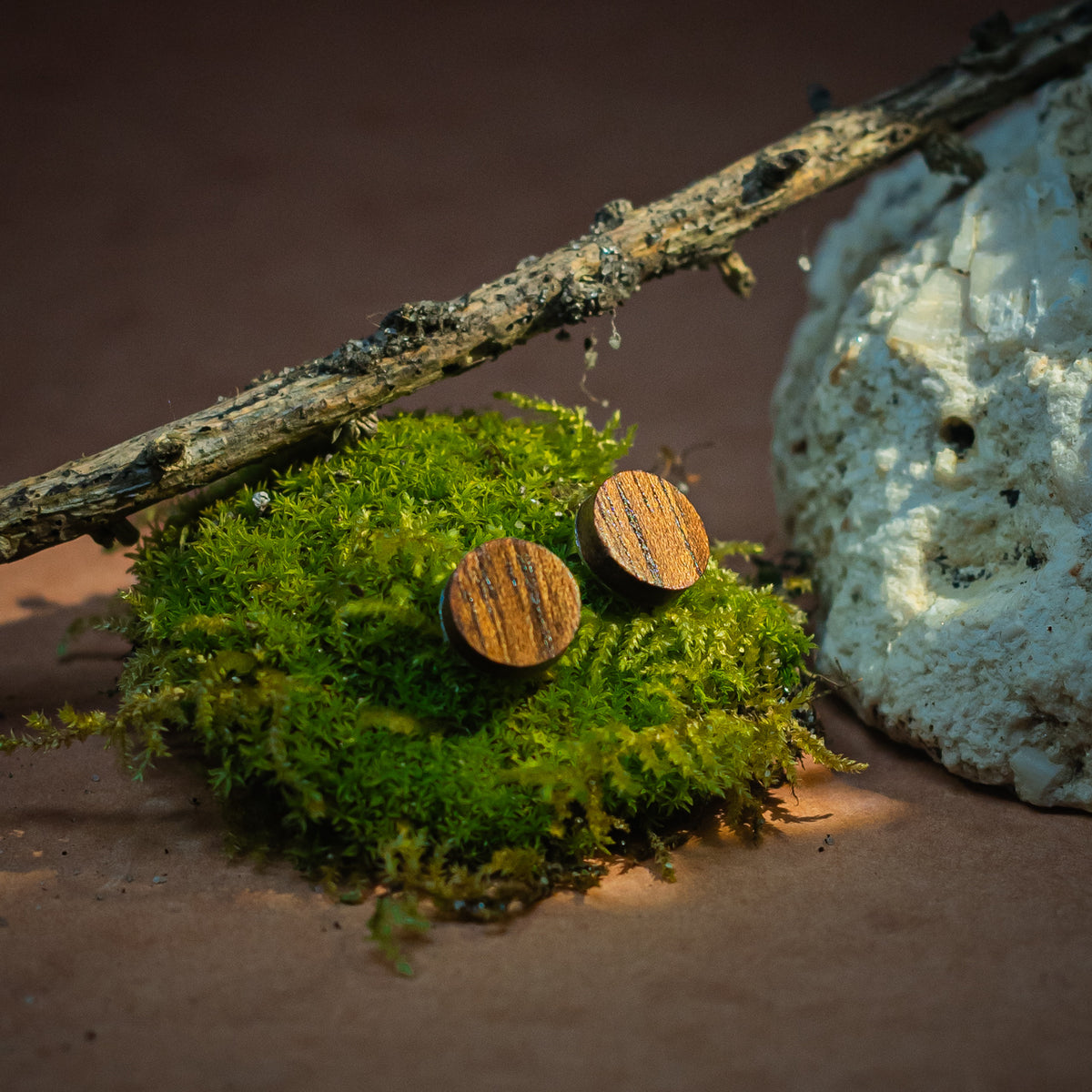puces d'oreilles rondes femme en bois de noyer, posées sur de la mousse, fabrication artisanale française, racines artisanat