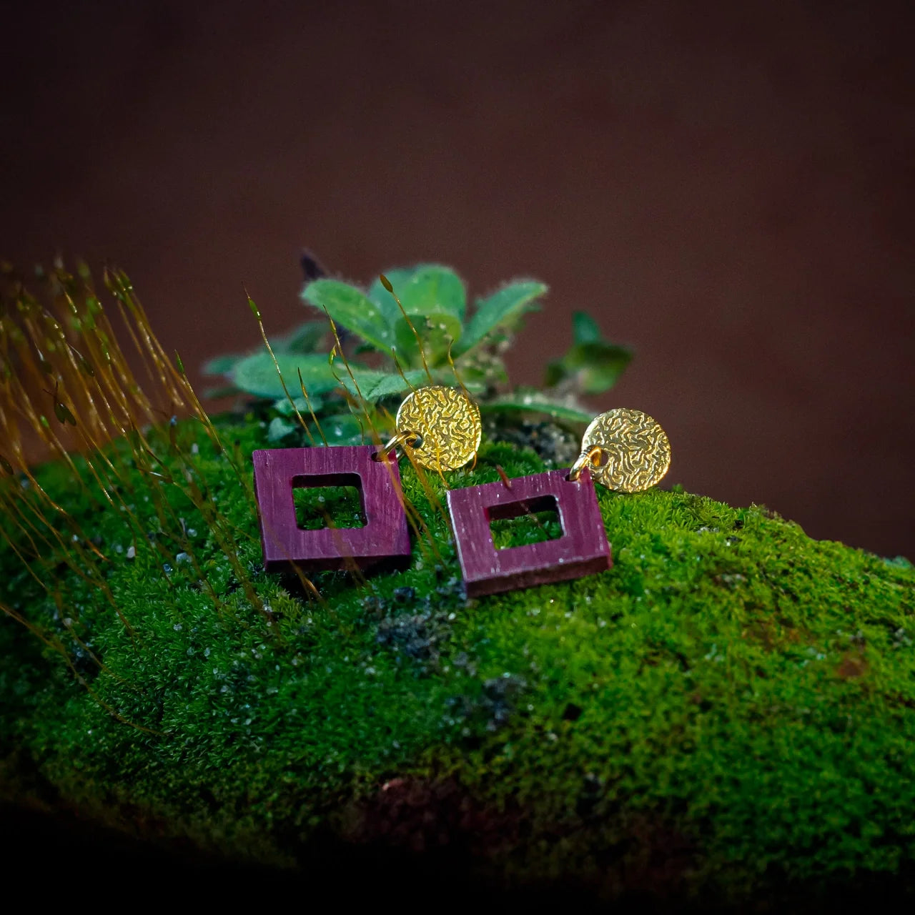 boucles d'oreilles clous carrés femme en bois d'amarante et acier doré, posées sur de la mousse, fabrication artisanale française, racines artisanat
