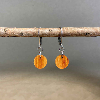 boucles d'oreilles rondes femme en bois de rose et acier argenté, suspendues à une branche, fabrication artisanale française, racines artisanat