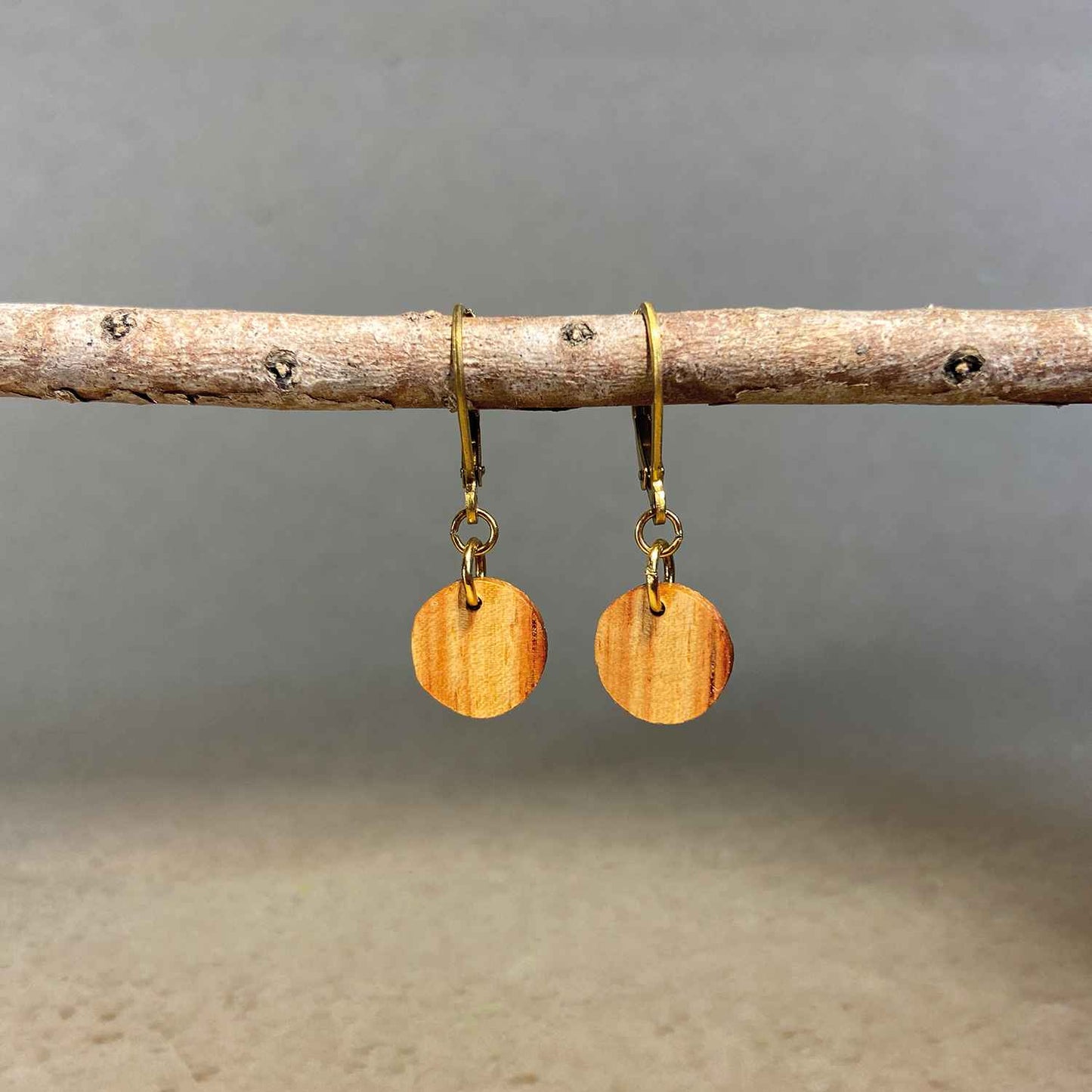 boucles d'oreilles rondes femme en bois de rose et acier doré, suspendues à une branche, fabrication artisanale française, racines artisanat