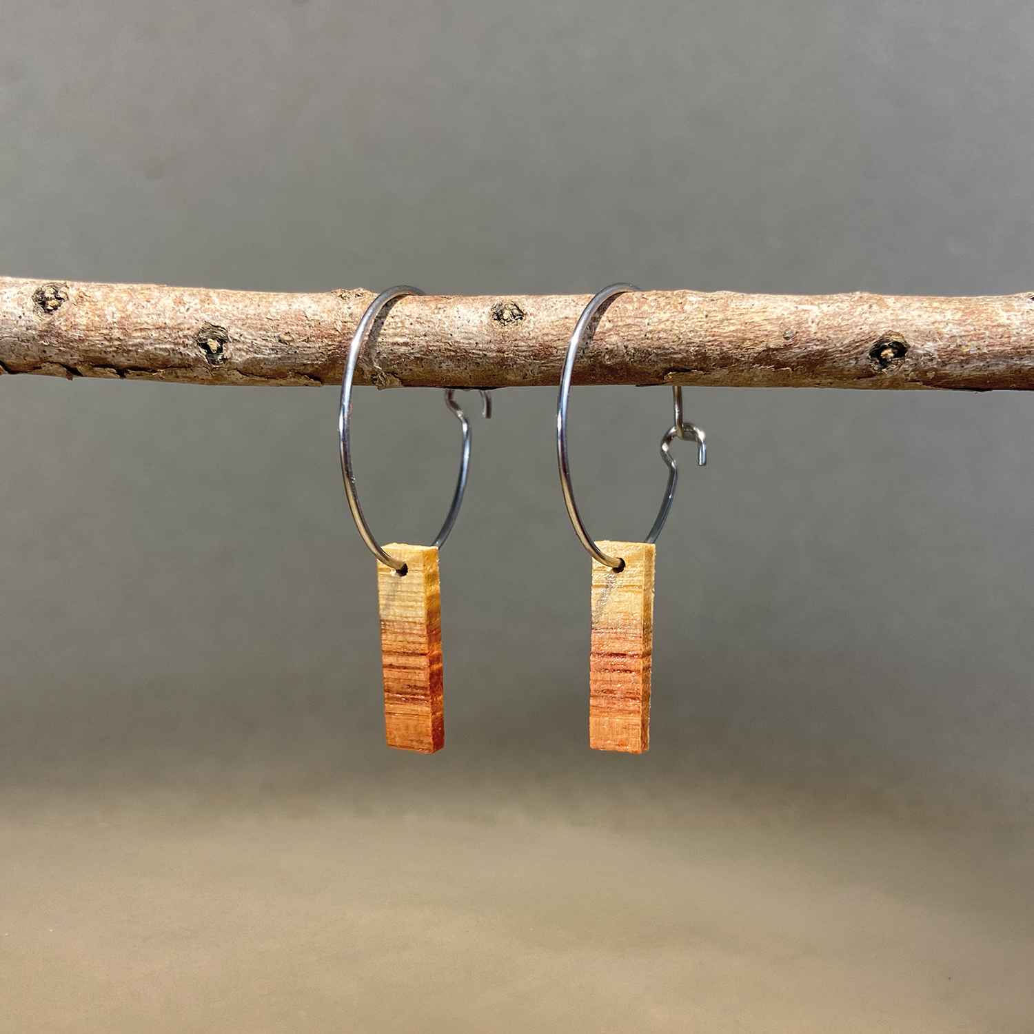 boucles d'oreilles créoles petite barre femme en aubier du bois de rose et acier argenté, suspendues à une branche, fabrication artisanale française, racines artisanat